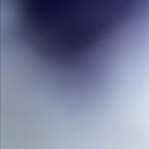 Meet your Posher, Annie